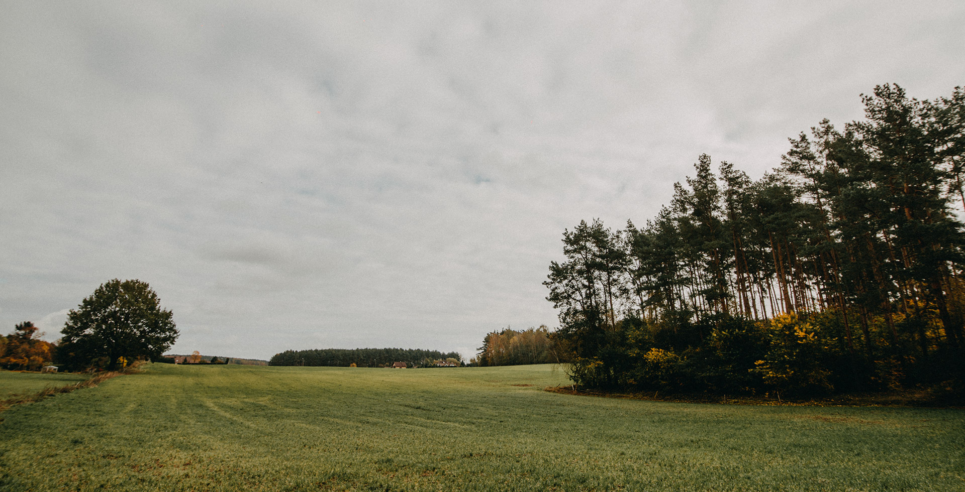 Atrakcyjne działki budowlane w gminie Lubniewice